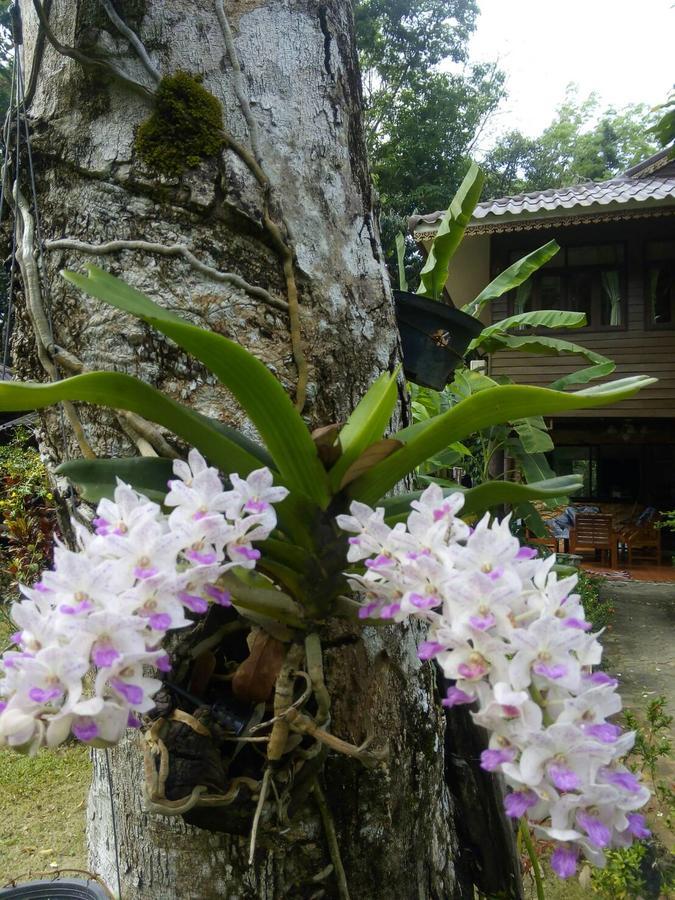 Koh Kood Little Hut Hotell Ko Kut Exteriör bild
