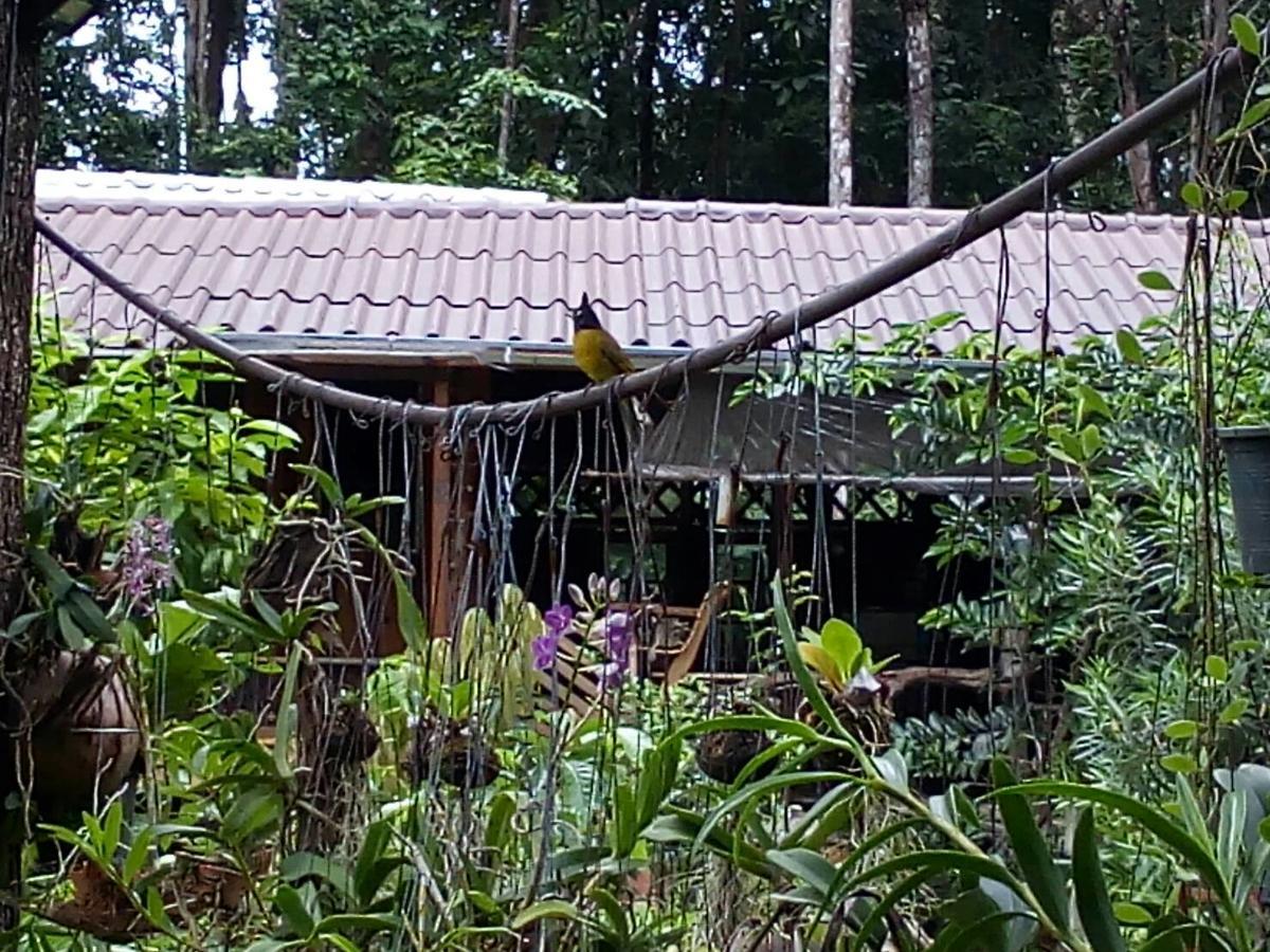 Koh Kood Little Hut Hotell Ko Kut Exteriör bild