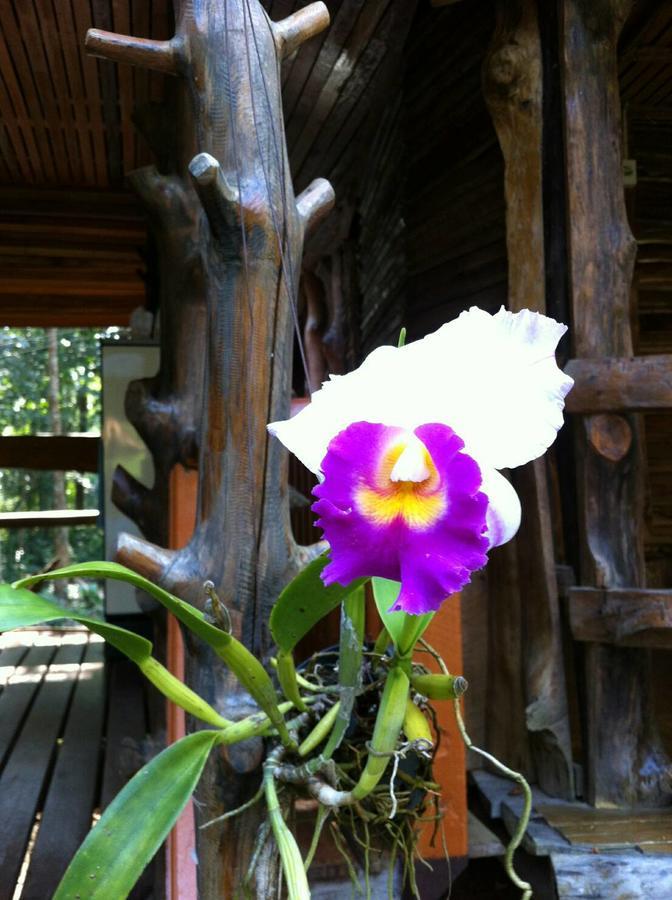 Koh Kood Little Hut Hotell Ko Kut Exteriör bild