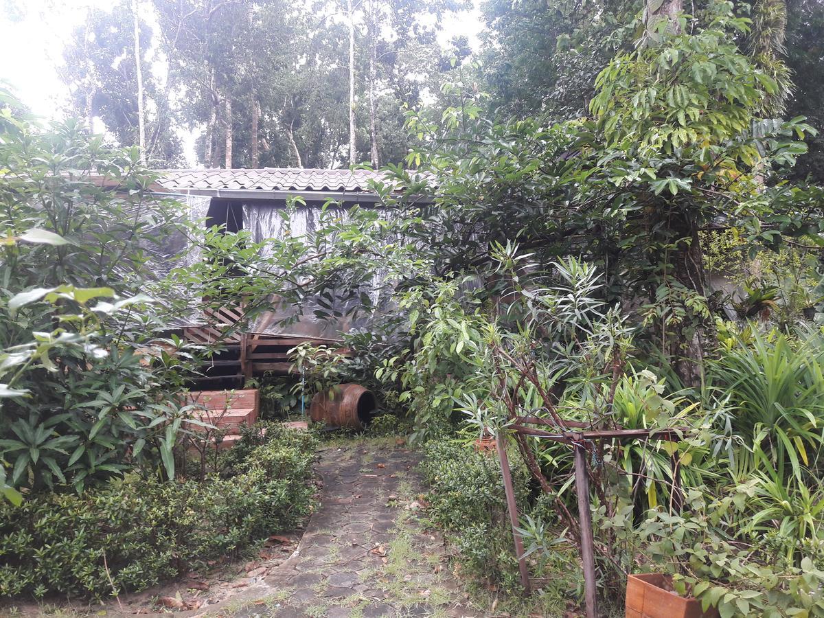 Koh Kood Little Hut Hotell Ko Kut Exteriör bild