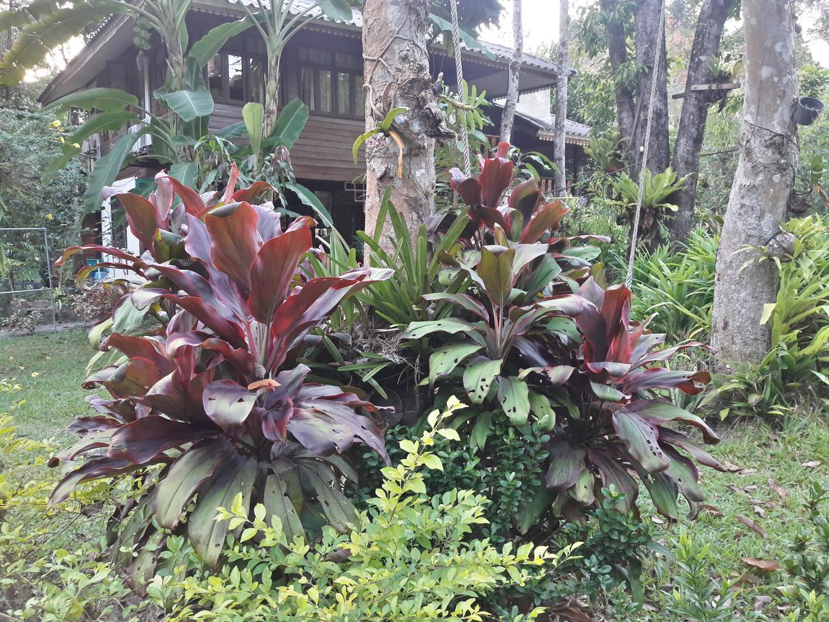 Koh Kood Little Hut Hotell Ko Kut Exteriör bild