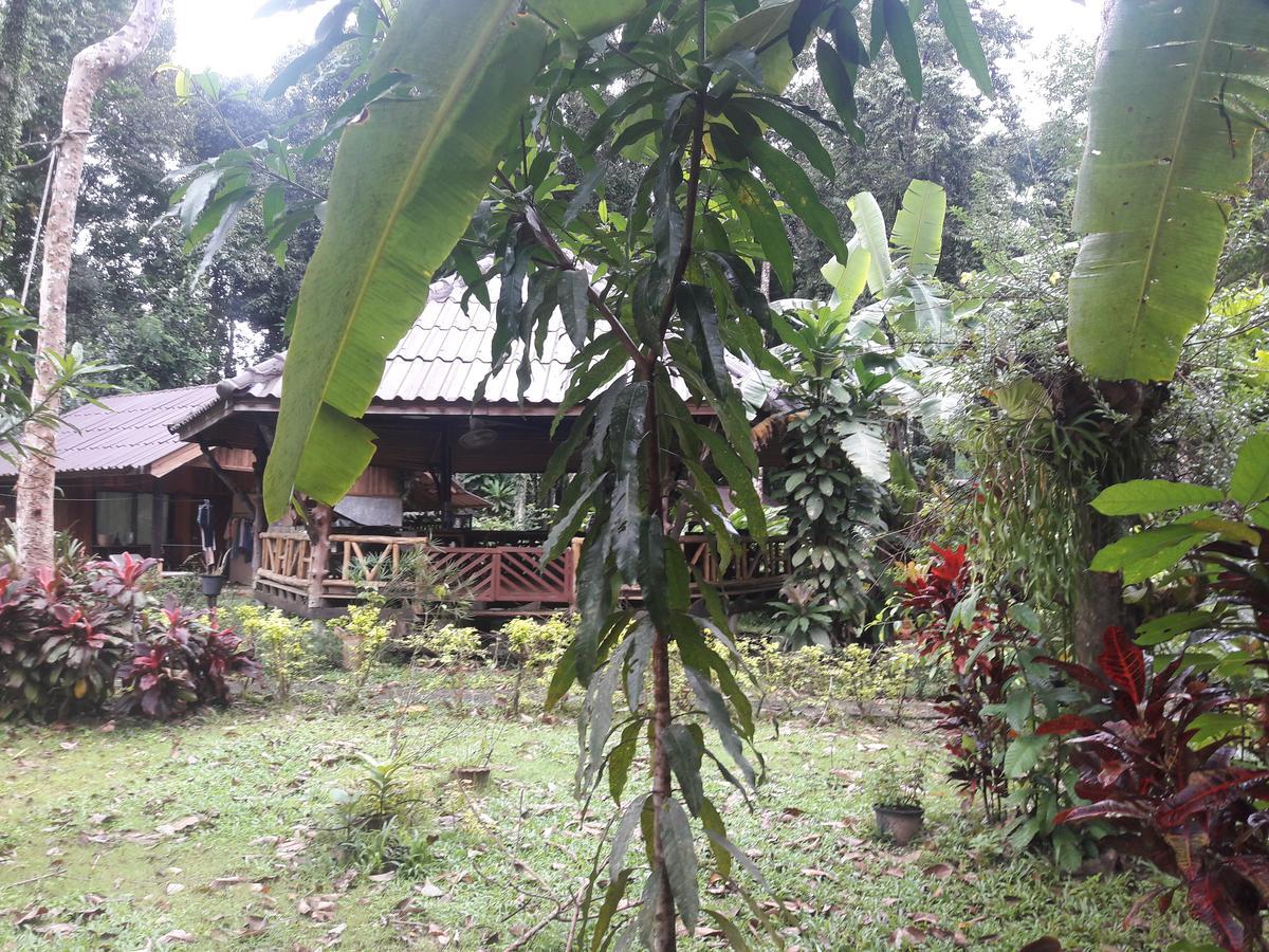 Koh Kood Little Hut Hotell Ko Kut Exteriör bild